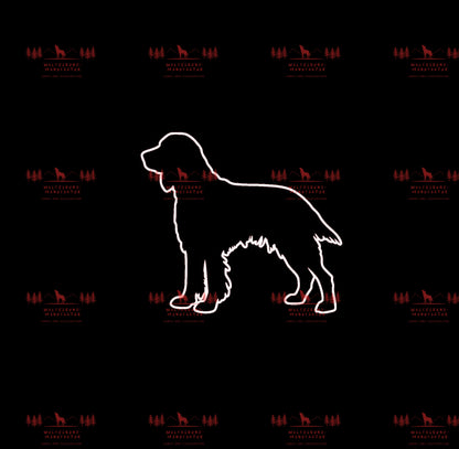 Irish Setter 3