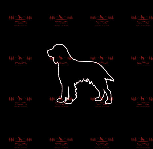 Irish Setter 3