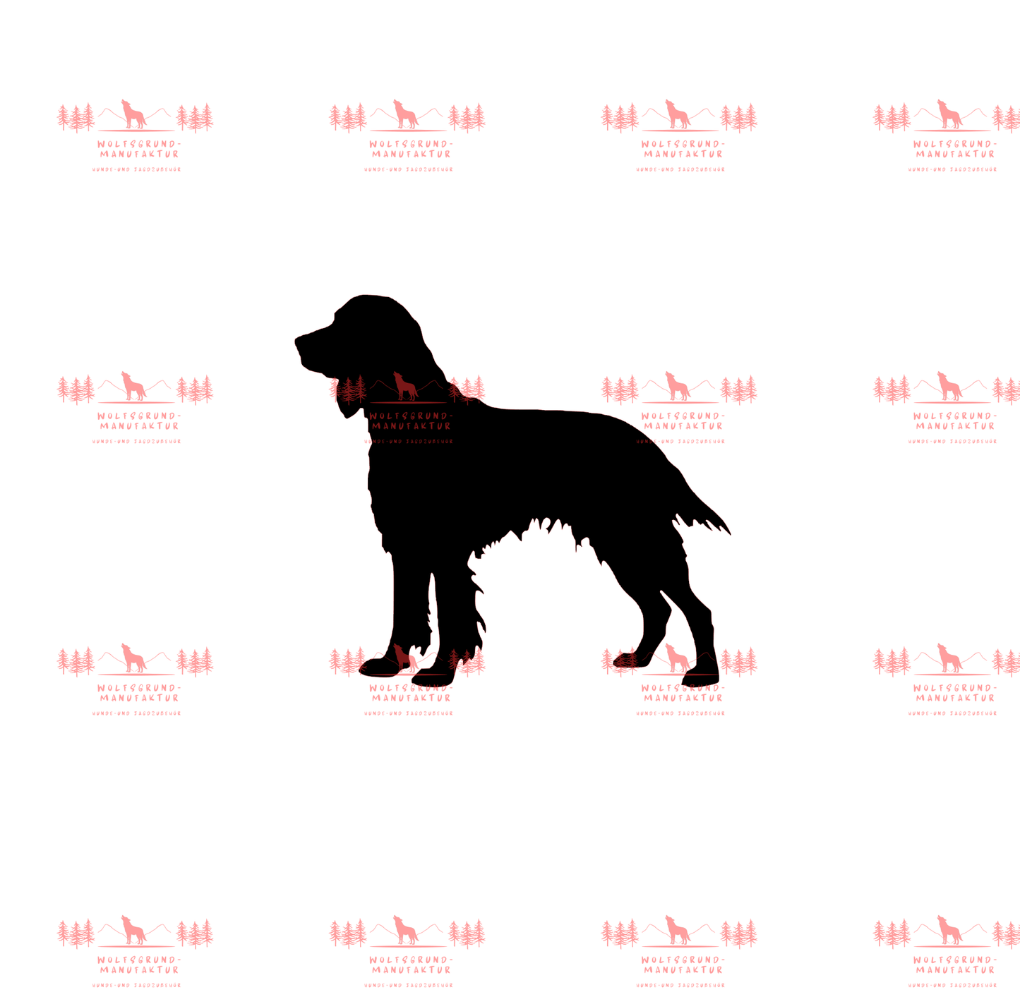 Irish Setter 3
