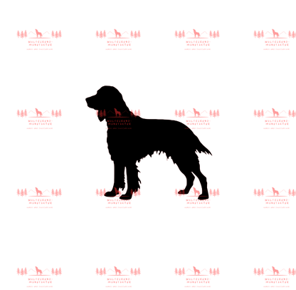 Irish Setter 3