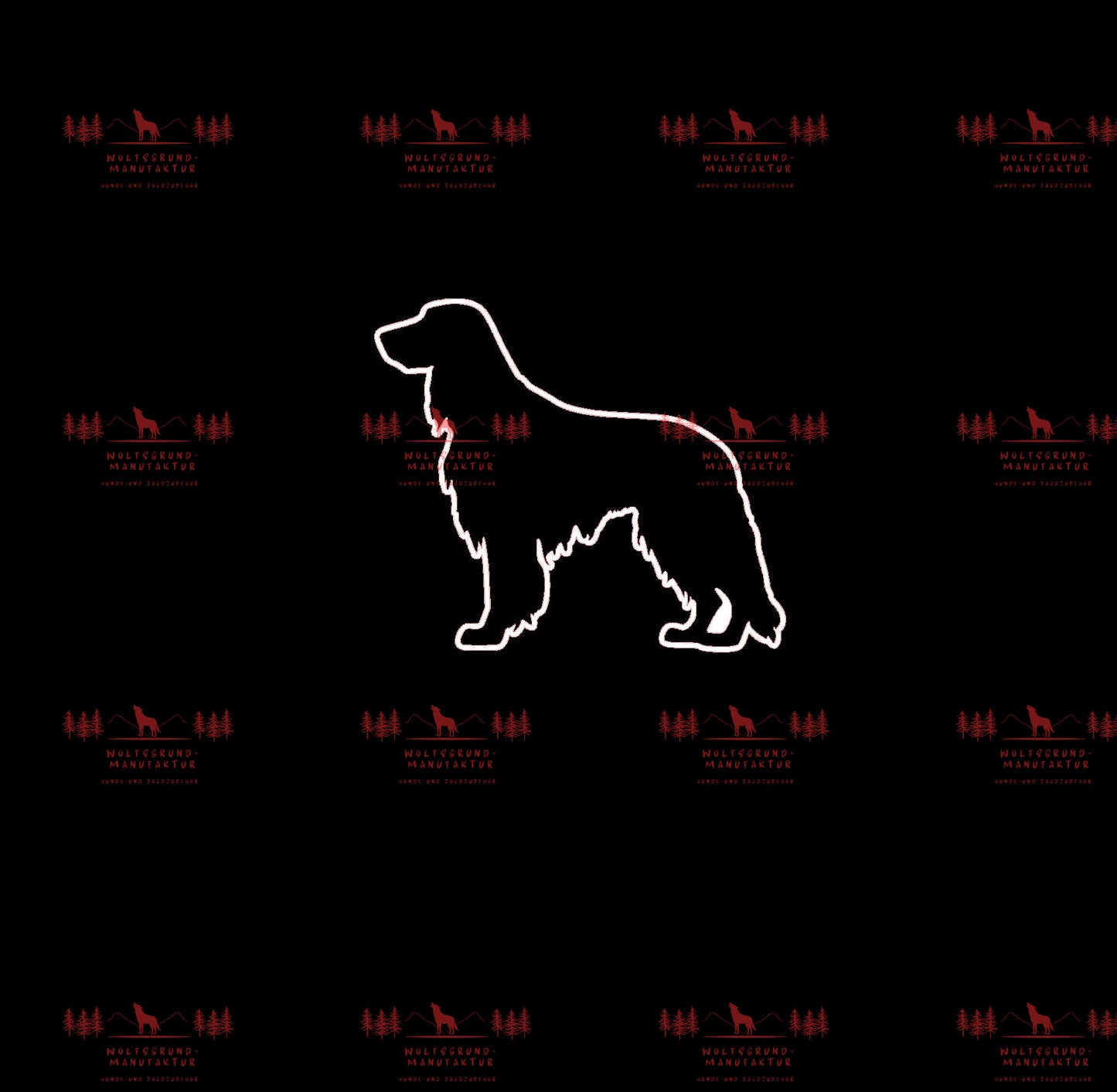 Irish Setter 4