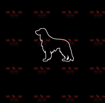 Irish Setter 4