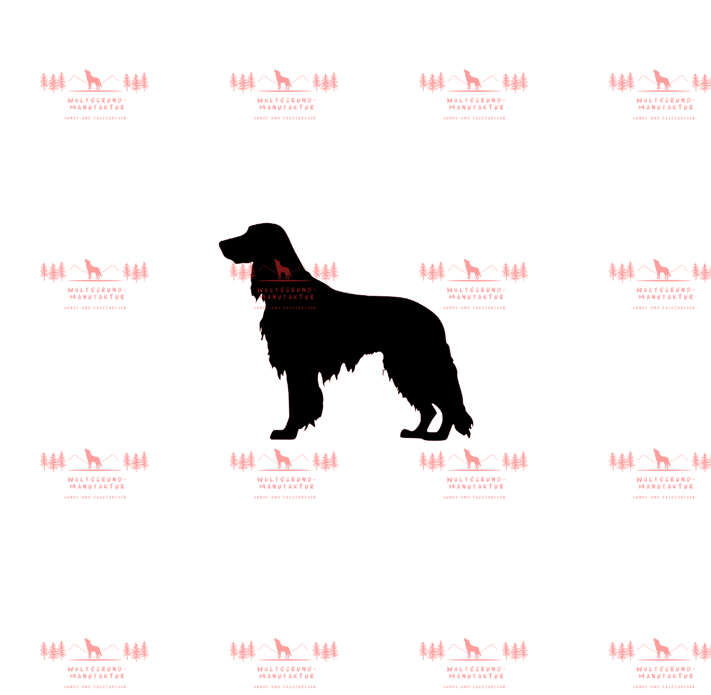 Irish Setter 4