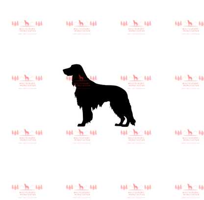 Irish Setter 4