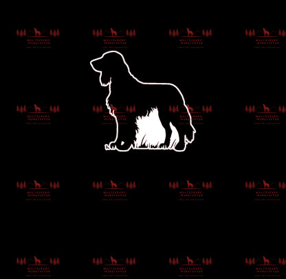 Irish Setter 5