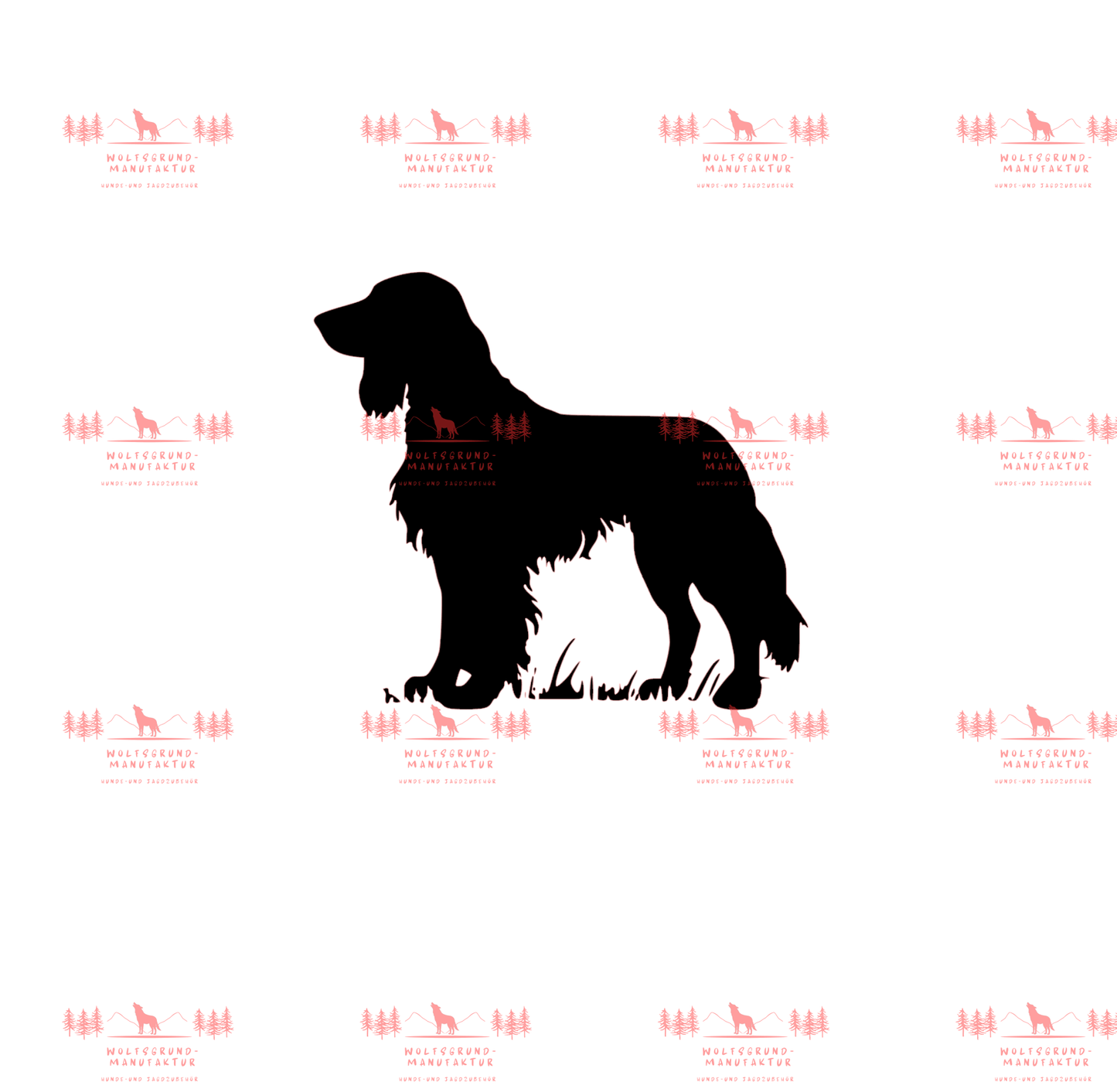 Irish Setter 5