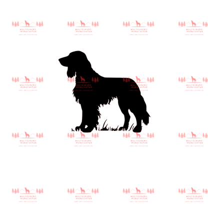 Irish Setter 5
