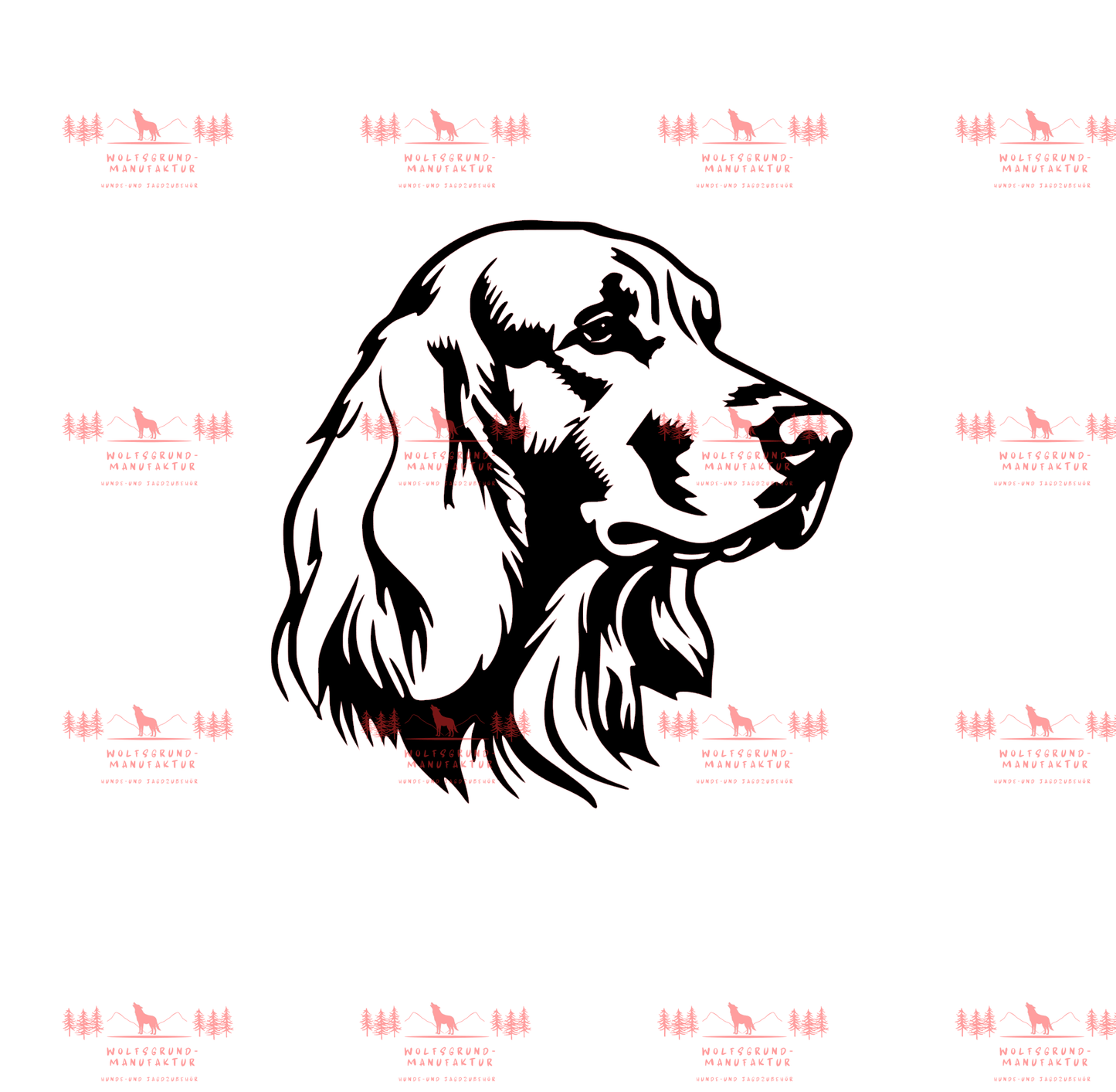 Irish Setter 6