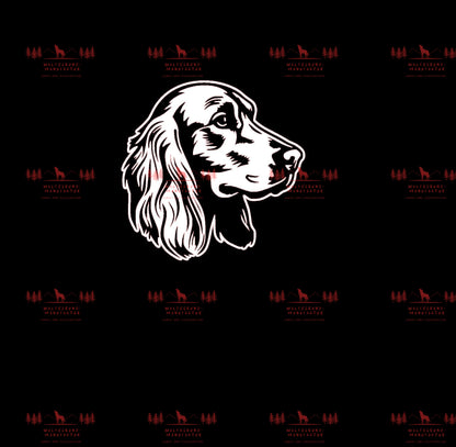 Irish Setter 7
