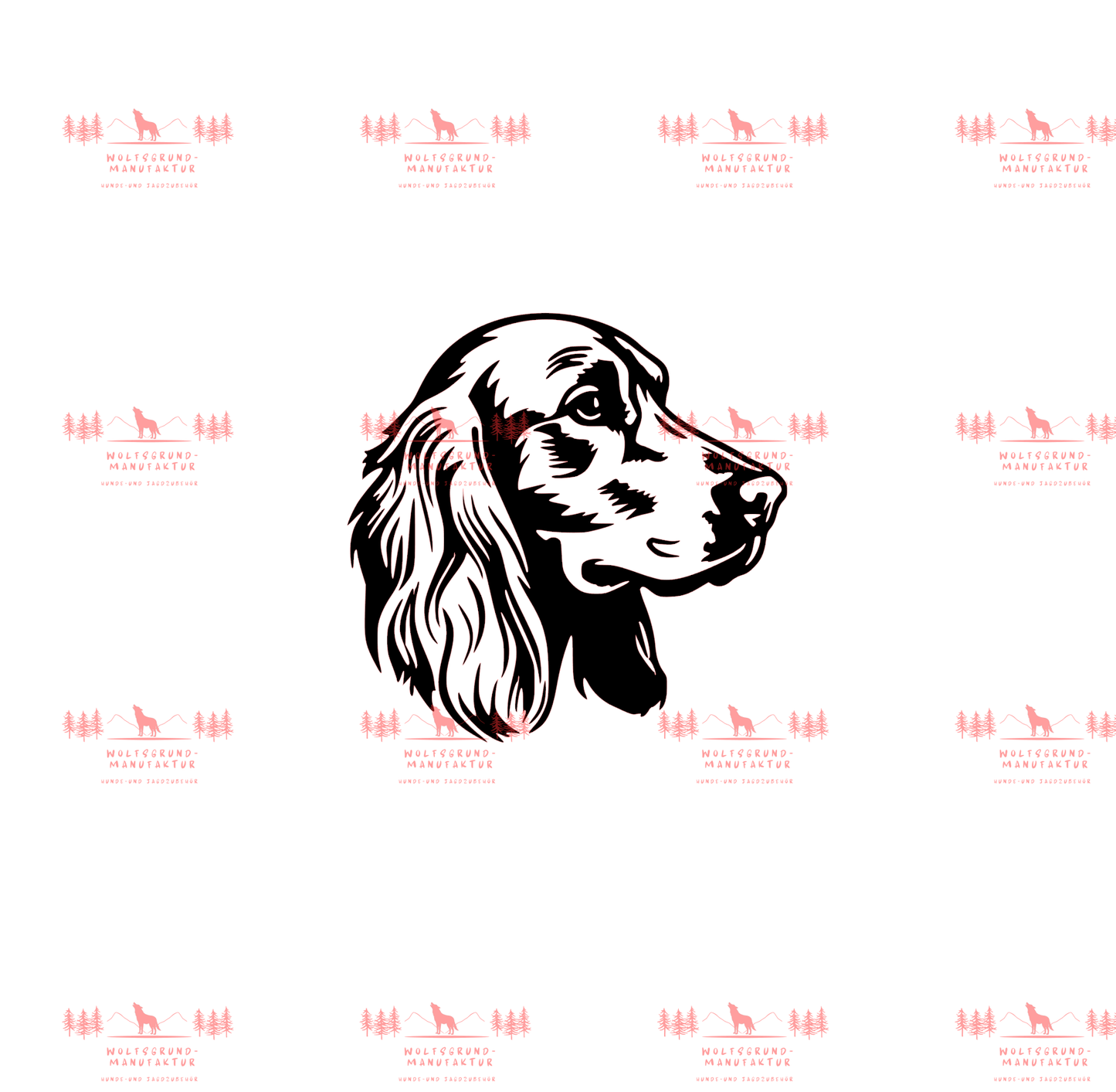 Irish Setter 7