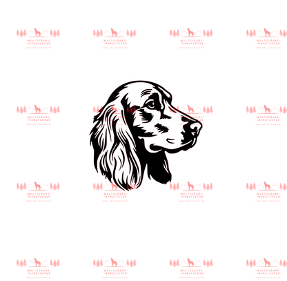 Irish Setter 7
