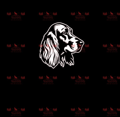 Irish Setter 8