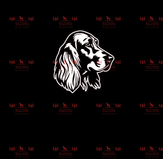 Irish Setter 8