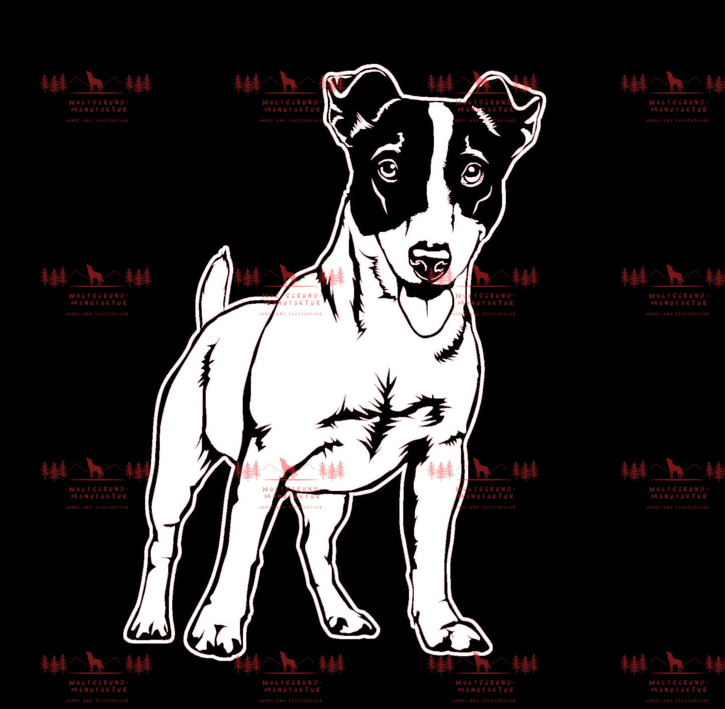 Jack Russell Terrier 1