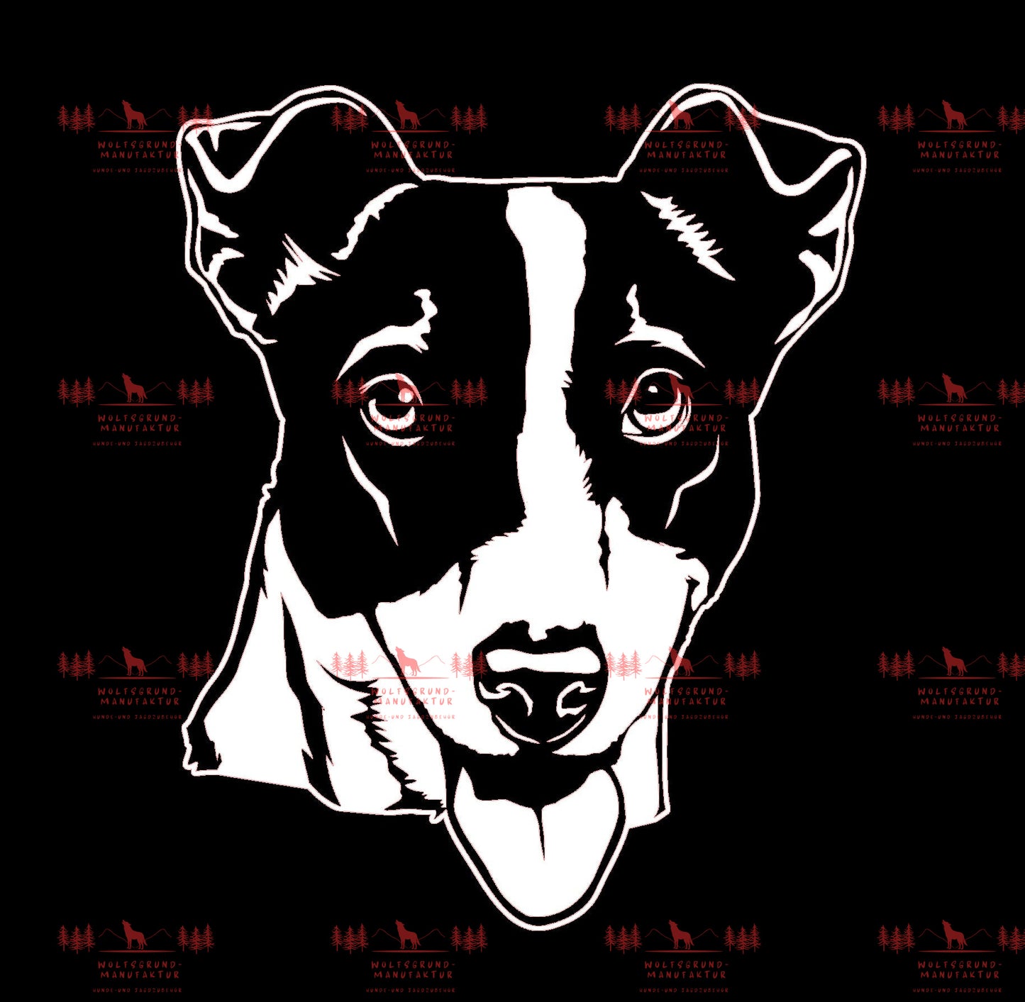 Jack Russell Terrier 3