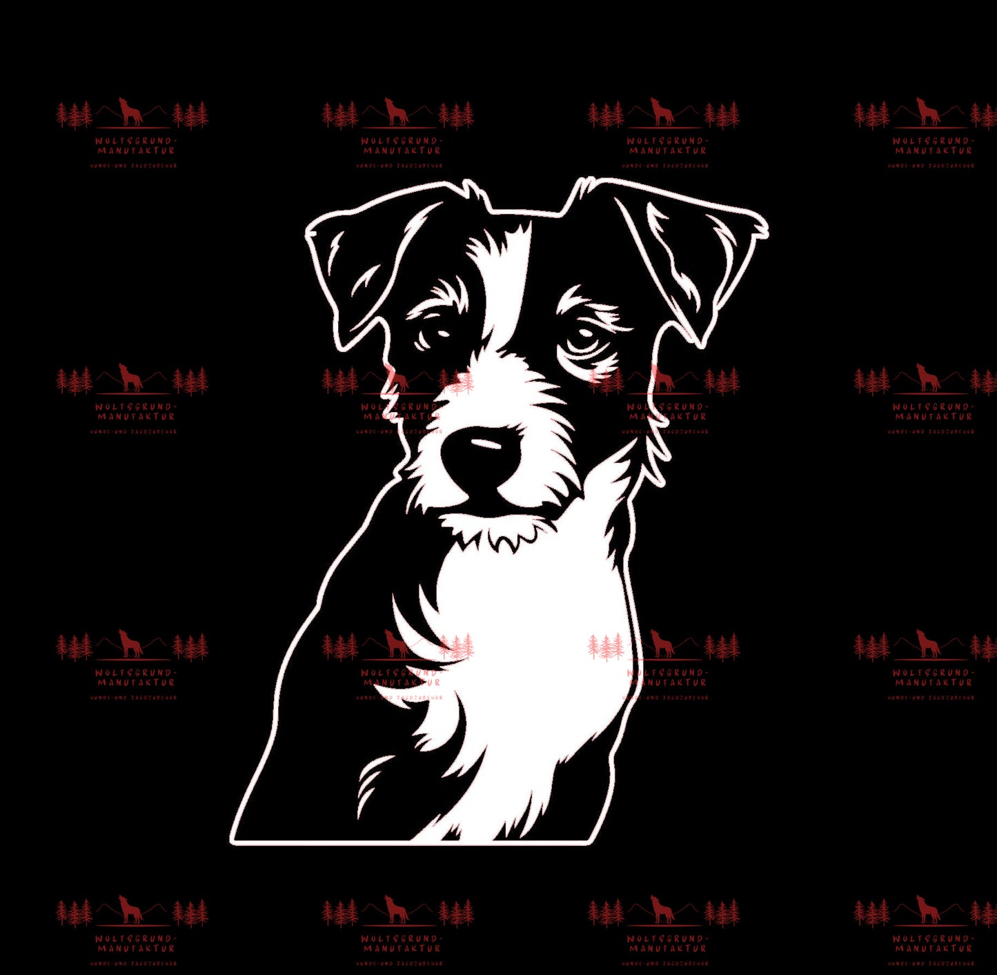 Jack Russell Terrier 4