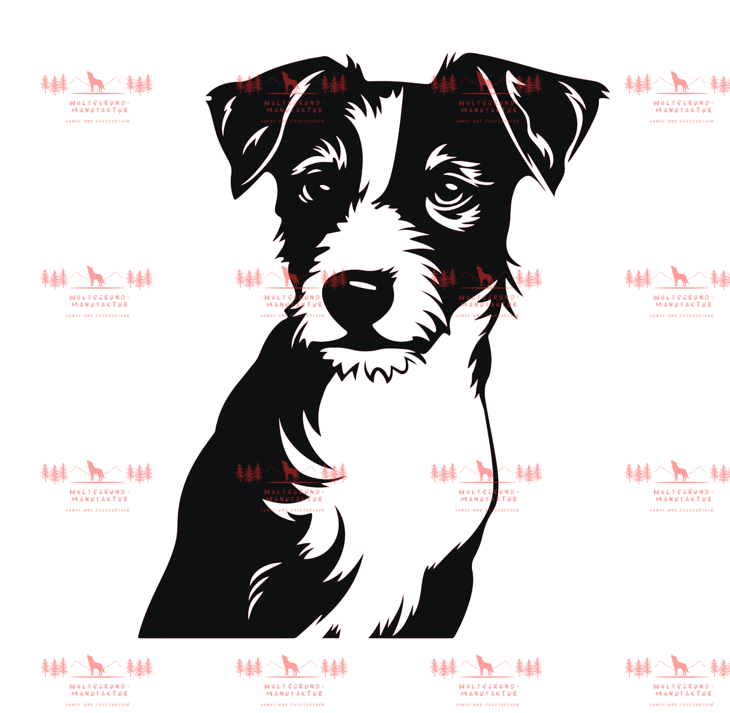 Jack Russell Terrier 4