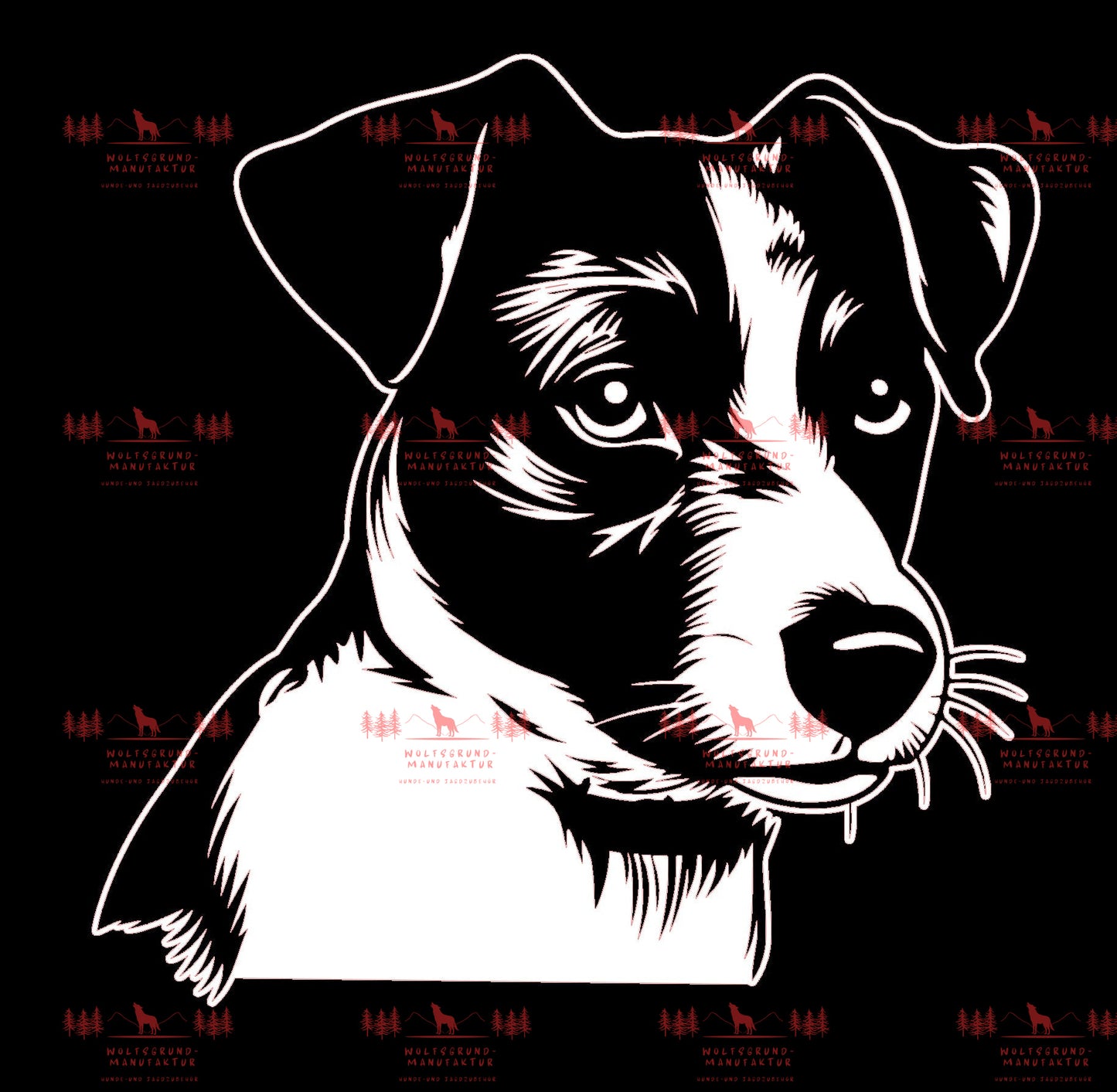 Jack Russell Terrier 5