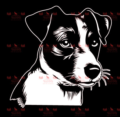 Jack Russell Terrier 5
