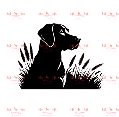 Jagdhund 1