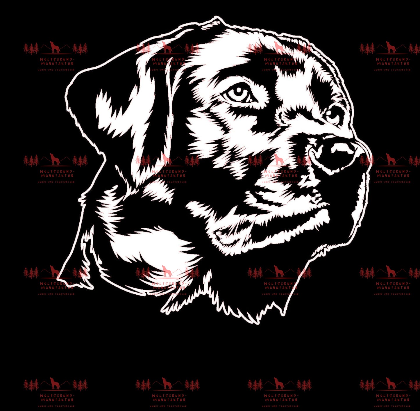 Labrador 1