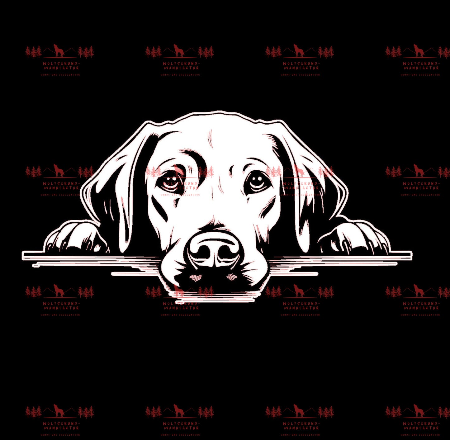 Labrador 2