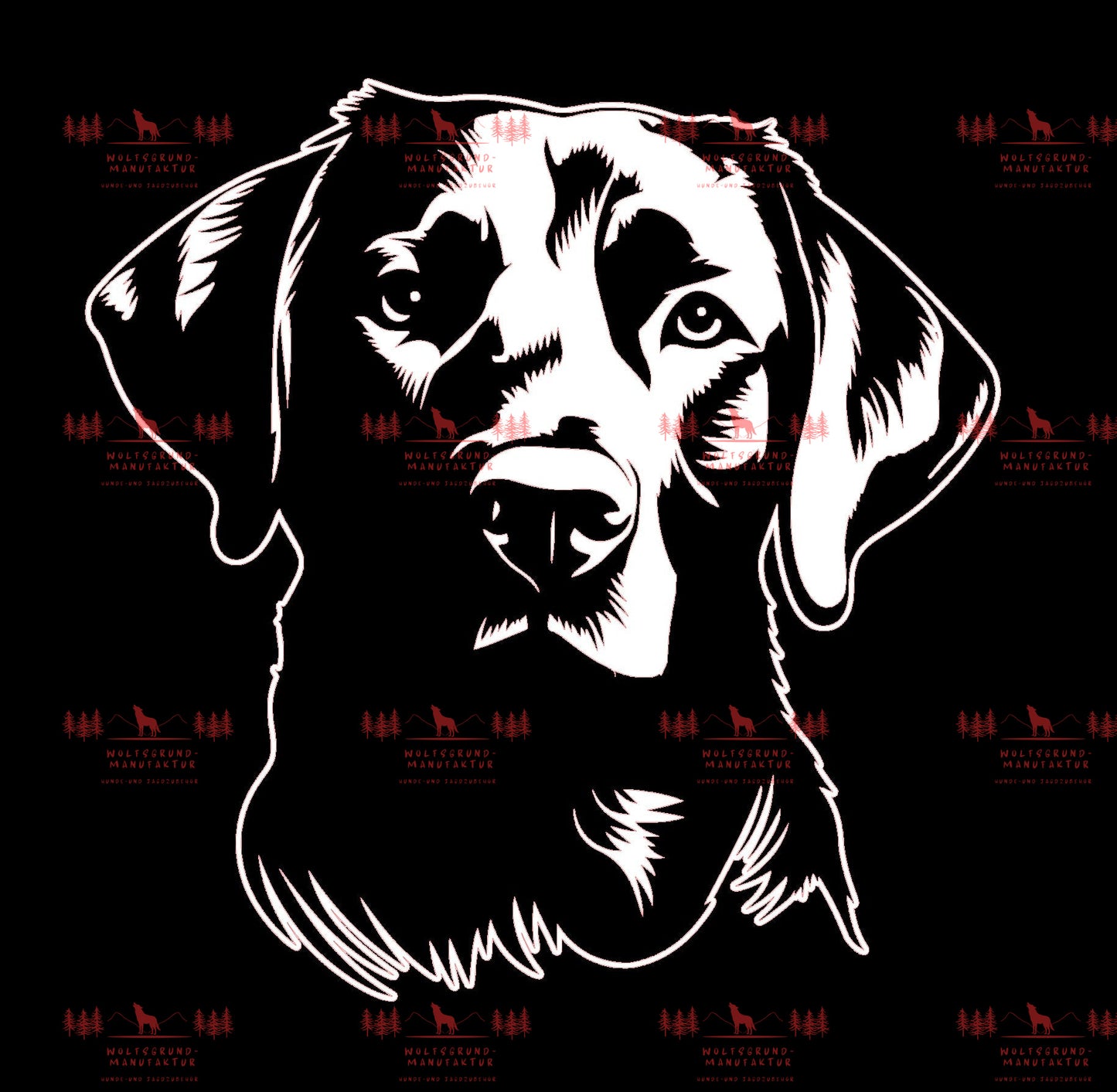Labrador 3