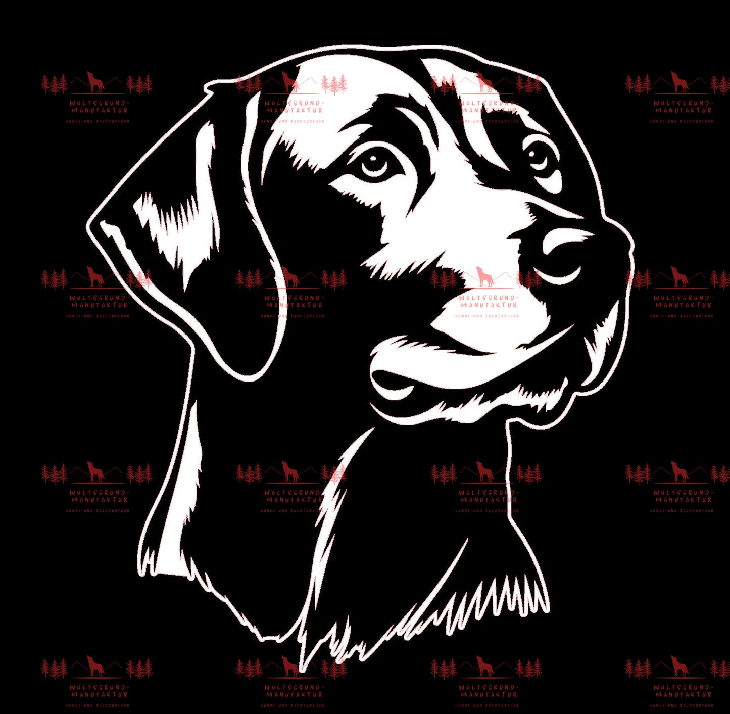 Labrador 4