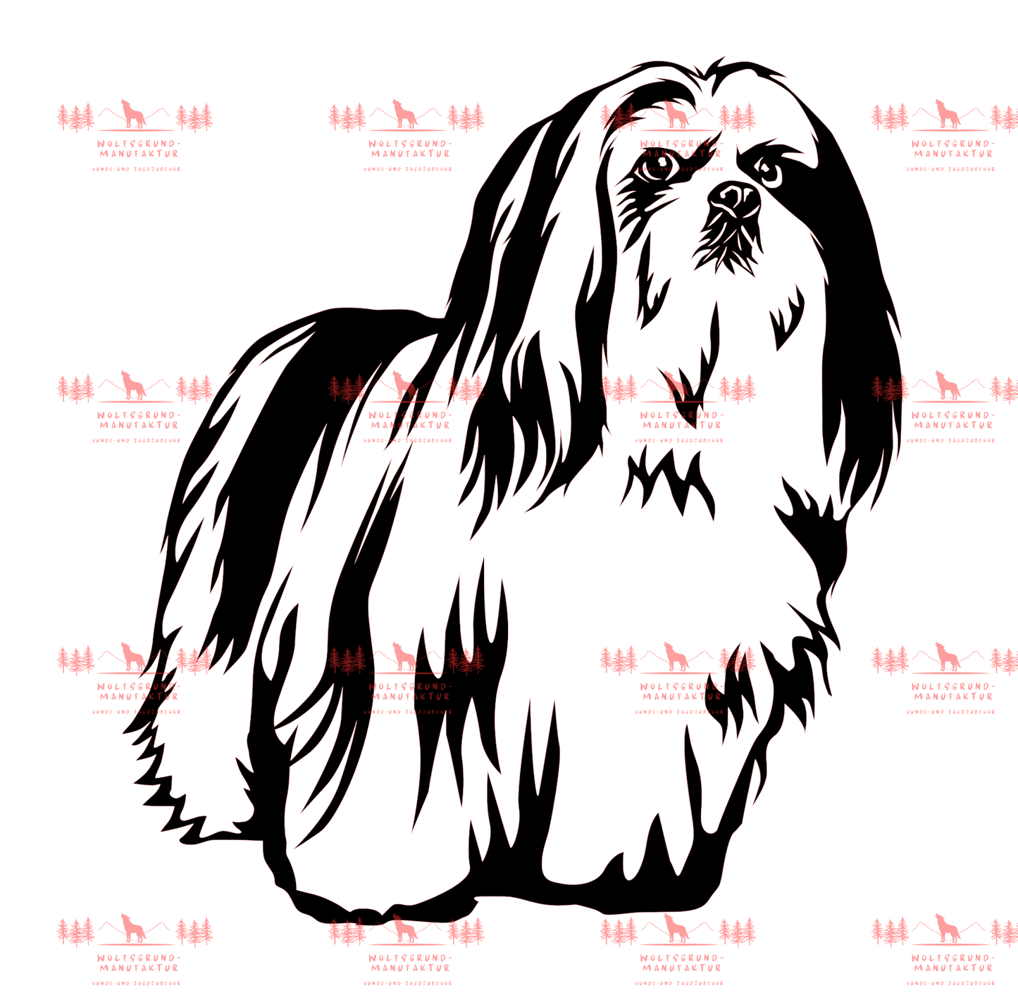 Lhasa Apso 1
