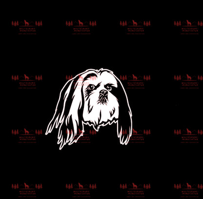 Lhasa Apso 2