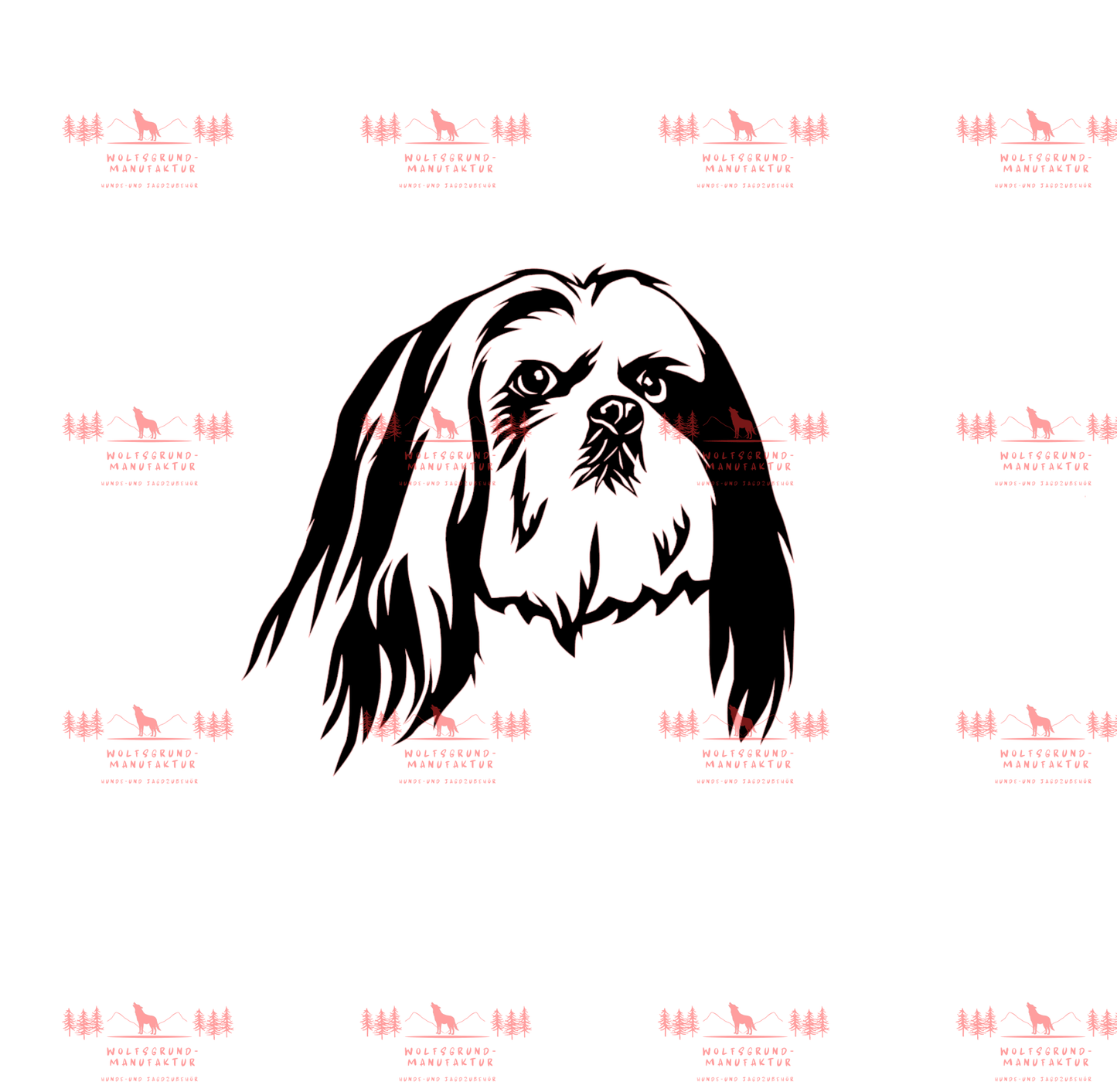 Lhasa Apso 2