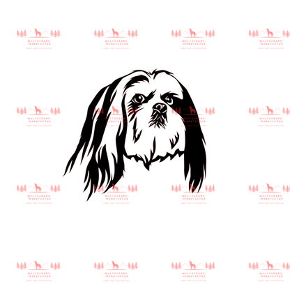 Lhasa Apso 2
