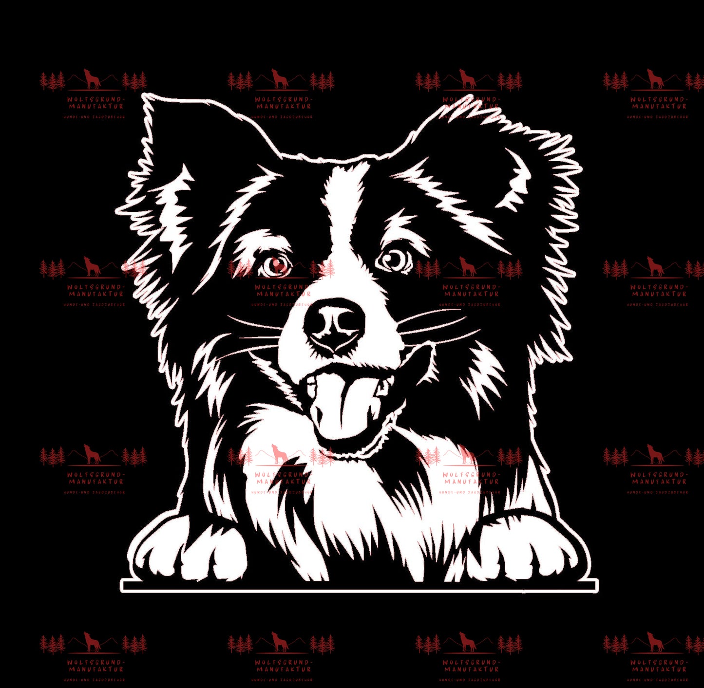 Mini Australian Shepherd 2