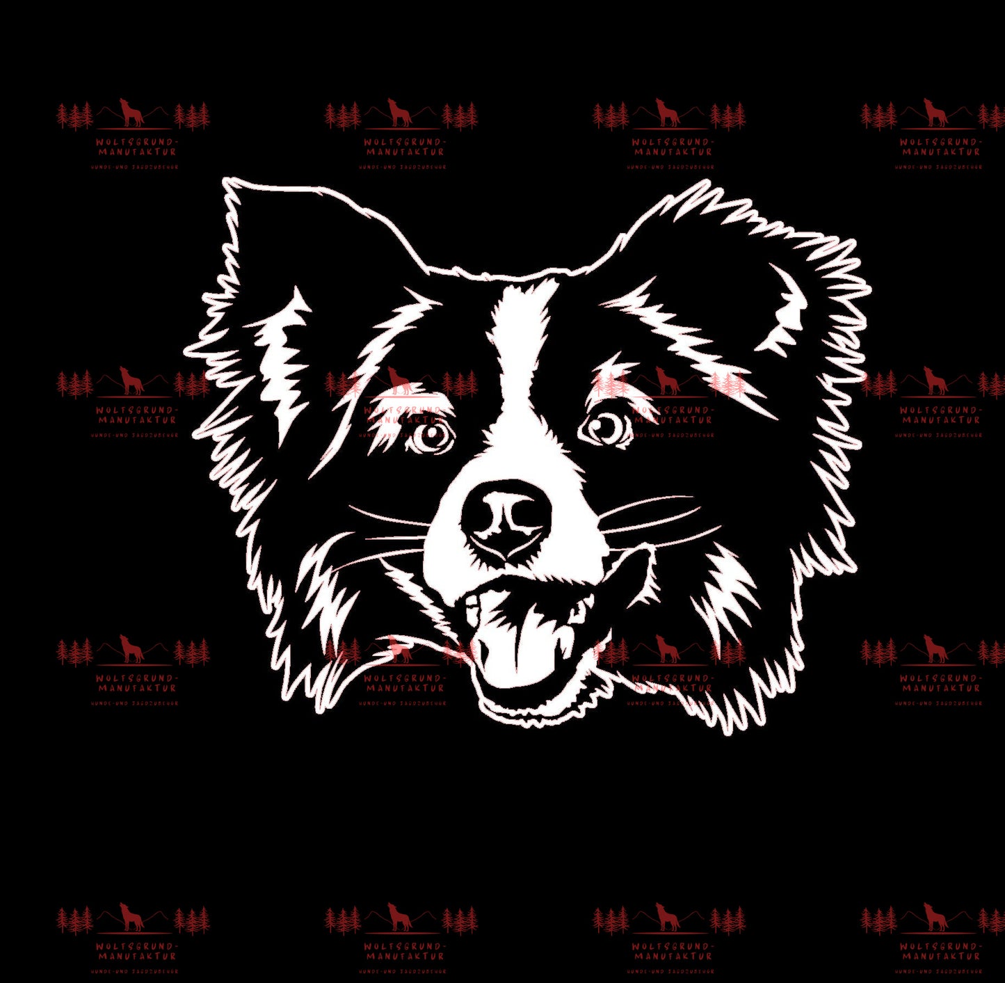 Mini Australian Shepherd 3