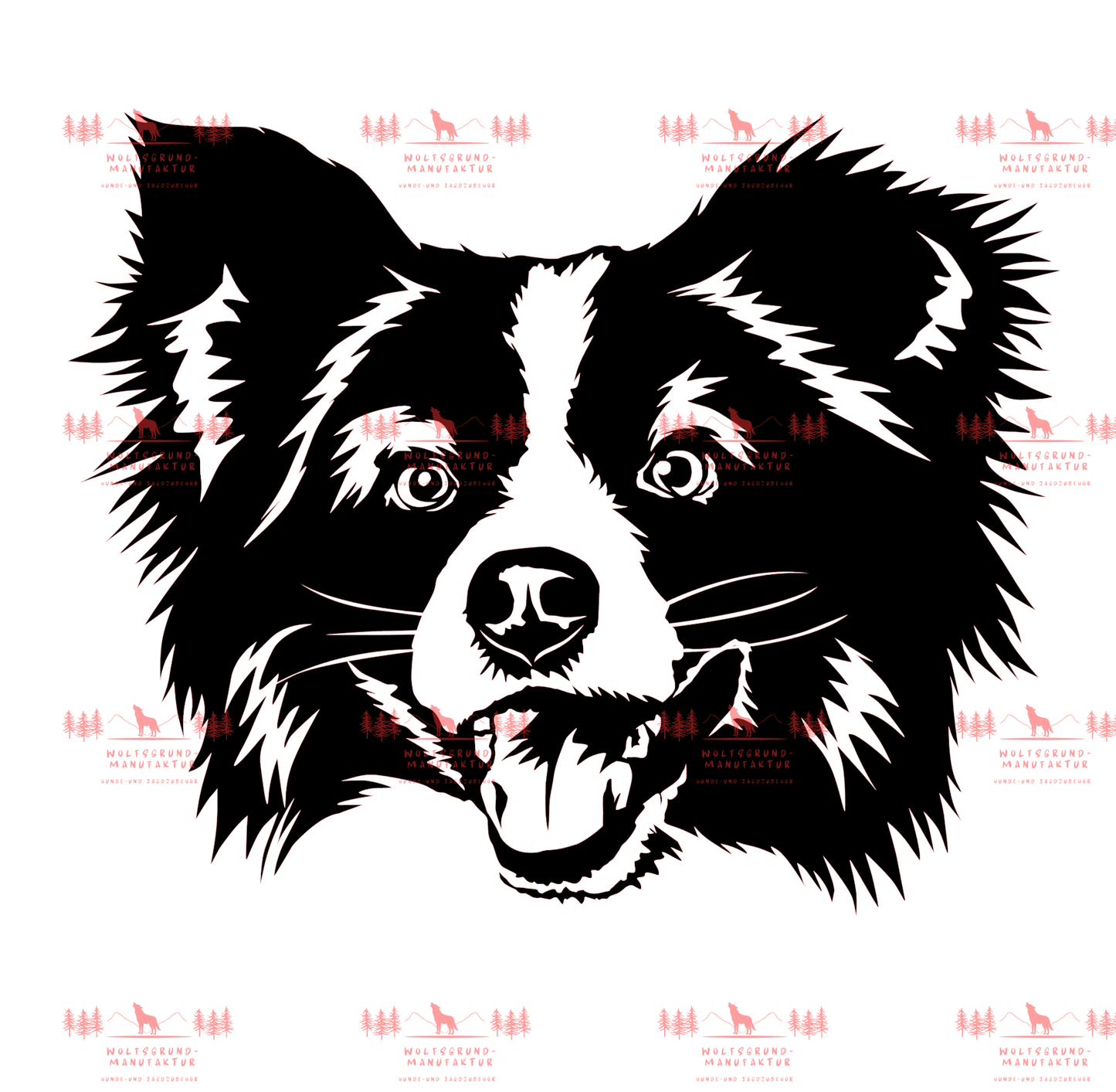 Mini Australian Shepherd 3