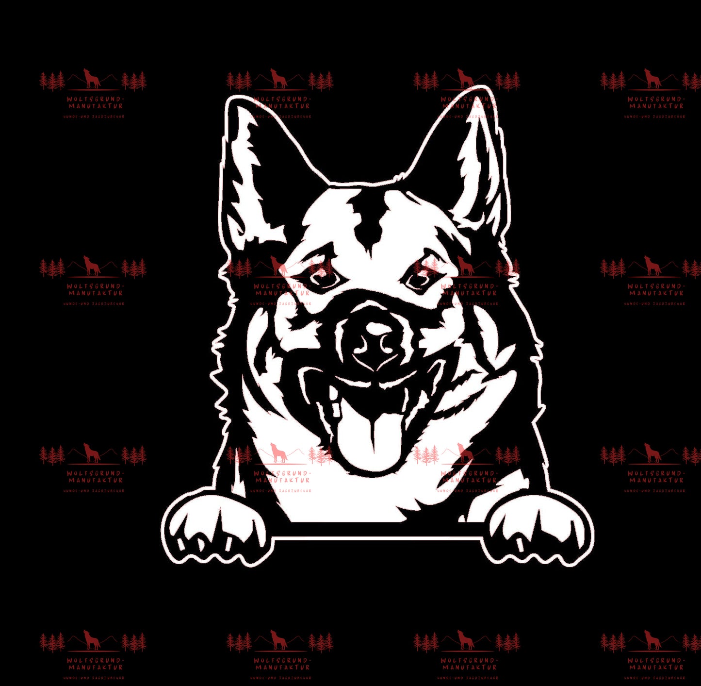 Norwegischer Elchhund 1