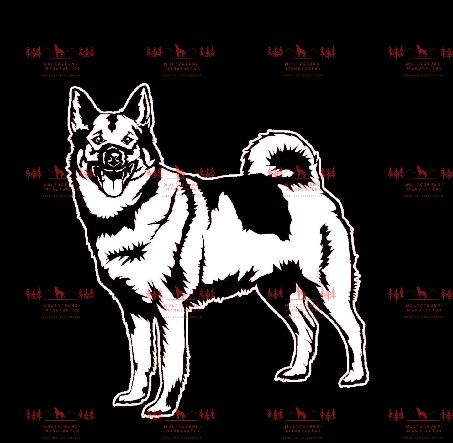 Norwegischer Elchhund 2