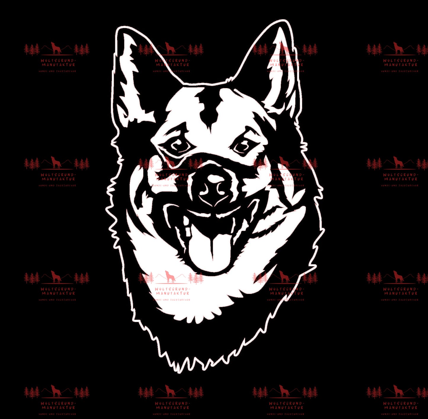 Norwegischer Elchhund 3