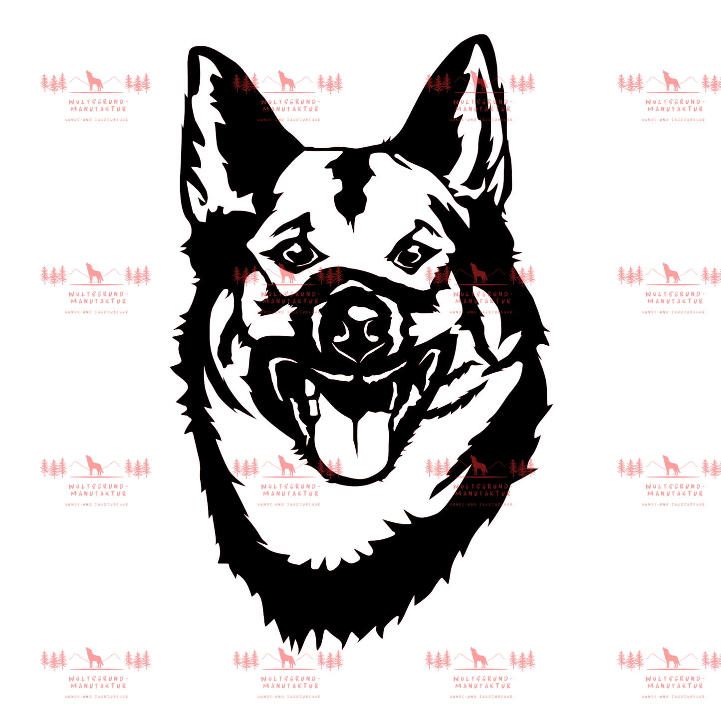 Norwegischer Elchhund 3