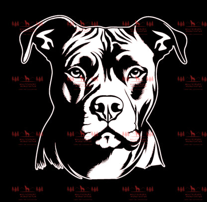 Pitbull 1