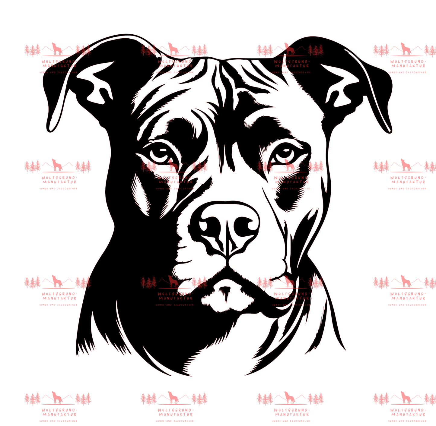 Pitbull 1
