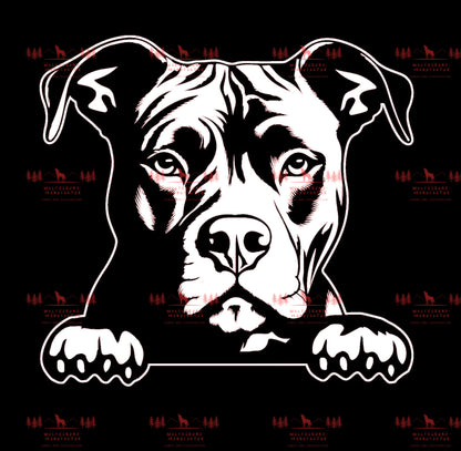 Pitbull 2