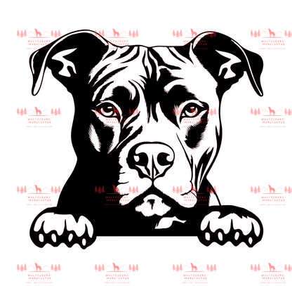 Pitbull 2
