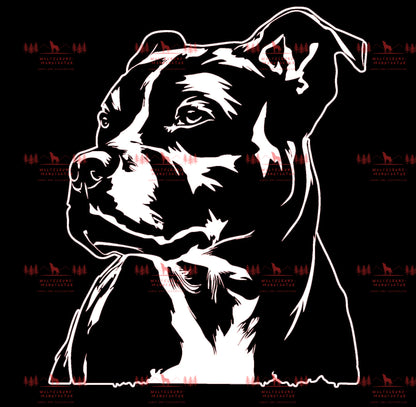 Pitbull 3