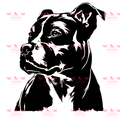 Pitbull 3