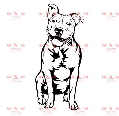 Pitbull 4