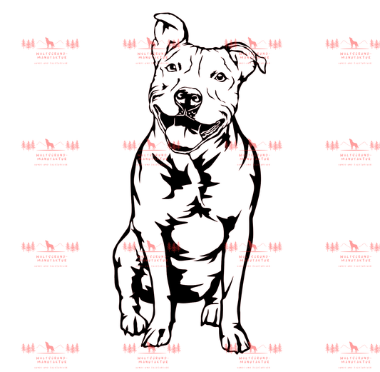 Pitbull 4