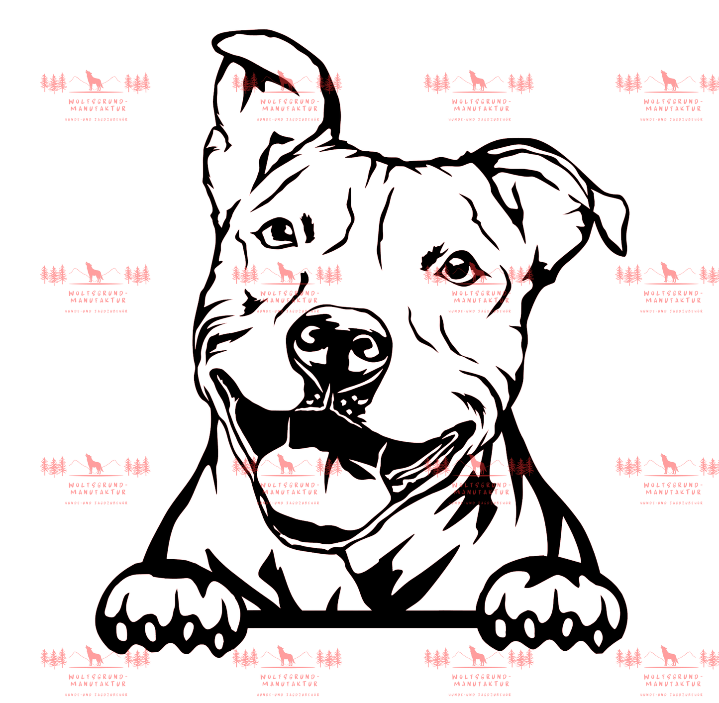Pitbull 5