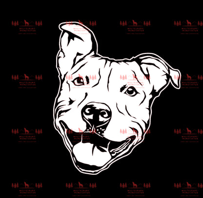 Pitbull 6