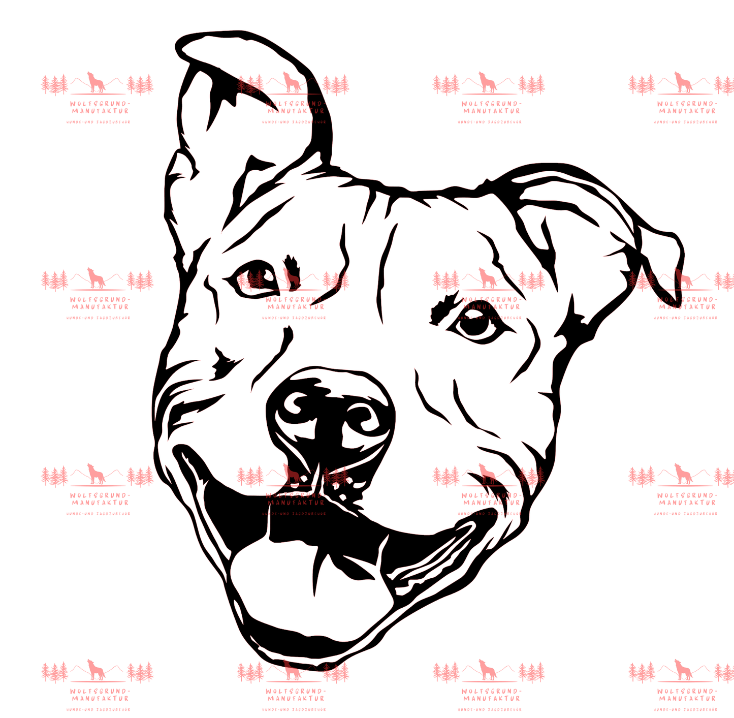 Pitbull 6